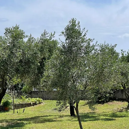 Apartamento Lakic